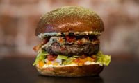 kwalitatie-hoogstaande-burger-500x300-280